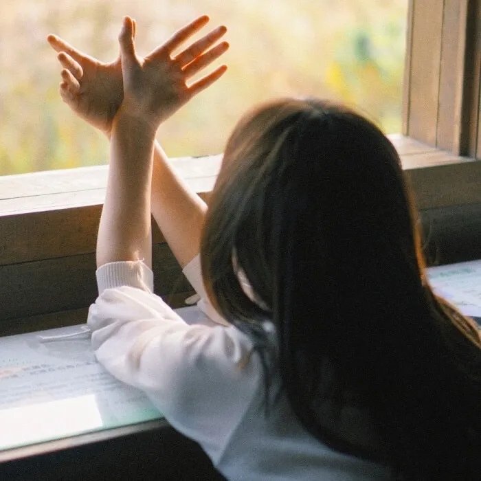 飙速宅男第五季